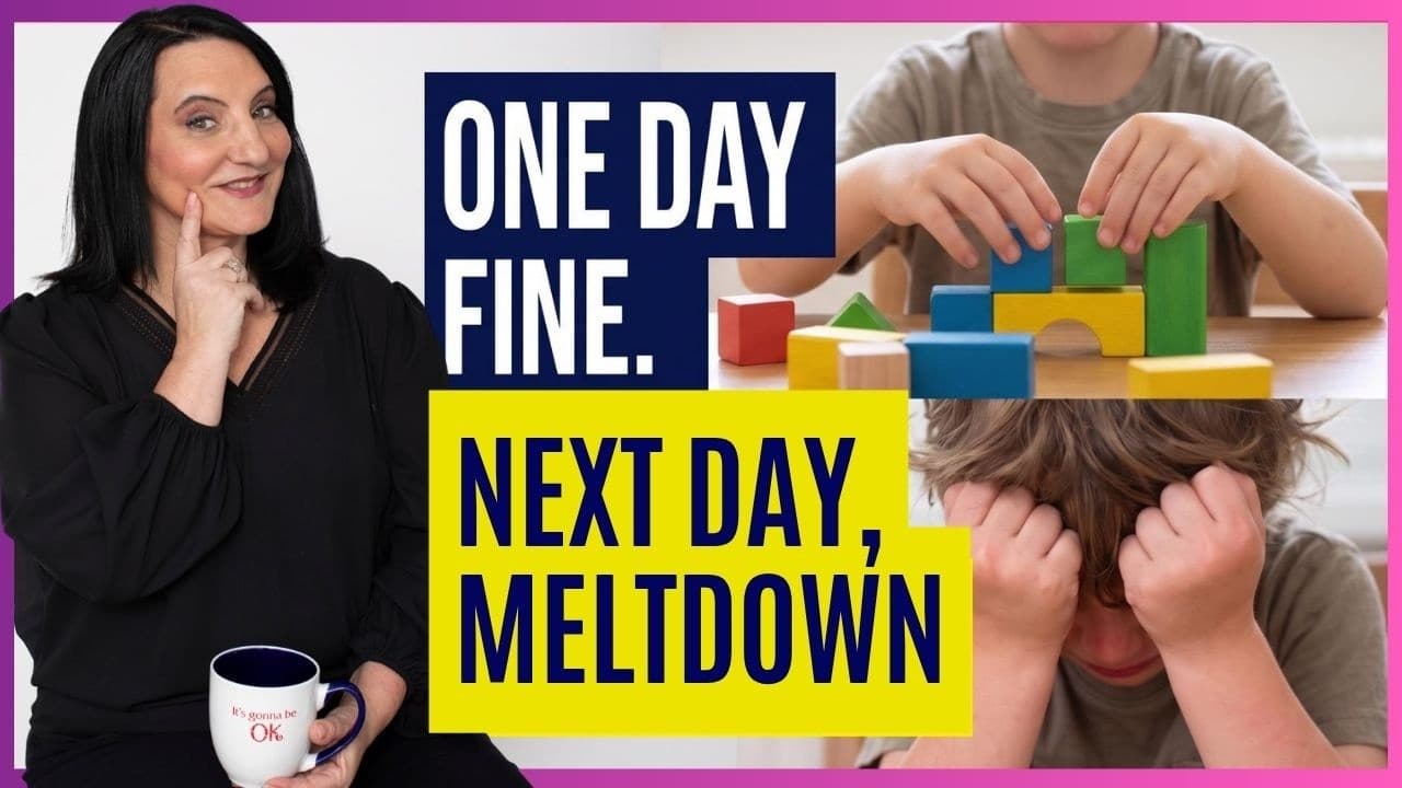 Dysregulated Kids podcast episode about changing nervous system capacity, featuring Dr. Roseann and One Day Fine, Next Day Meltdown text
