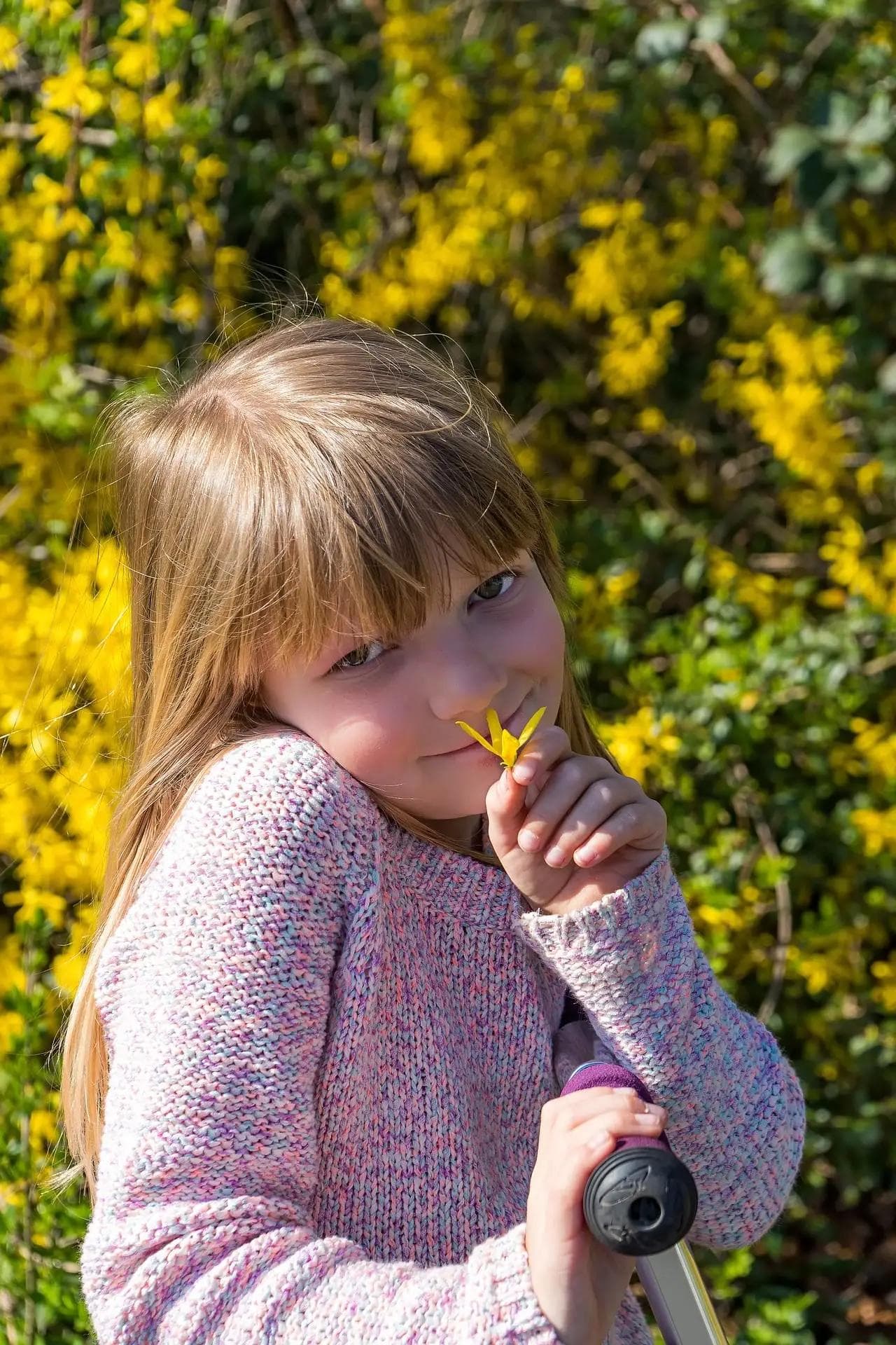 Shy vs. Anxiety: Is My Child Shy or Is It Social Anxiety?