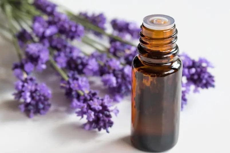 Essential Oils for Anxiety: A Calming Solution for Children