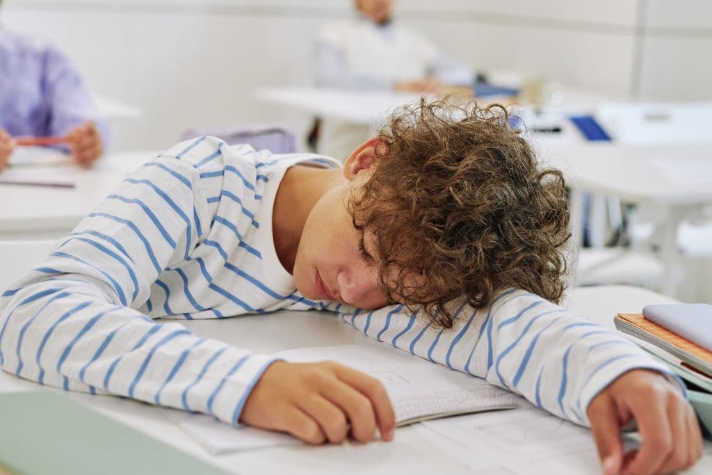 Dysregulation vs Other Behavioral Issues: Understanding & Supporting Your Child’s Brain-Based Challenges