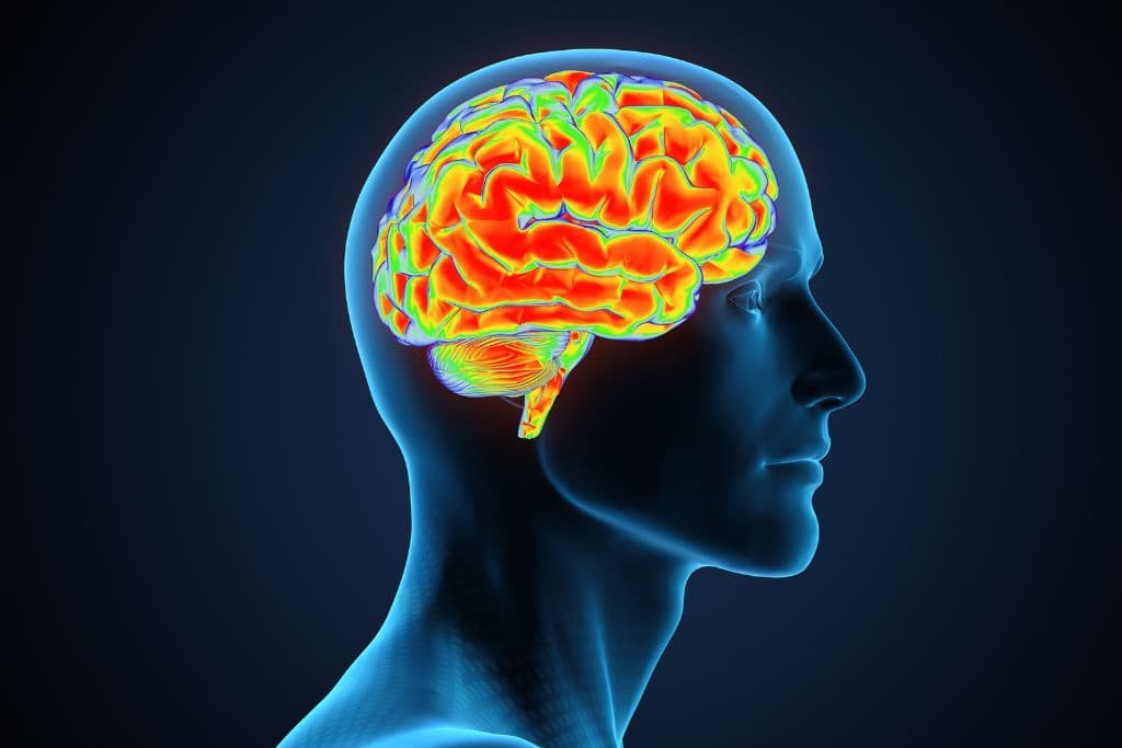 What is Neuroinflammation and How It Might Be Fueling Your Child’s Dysregulation