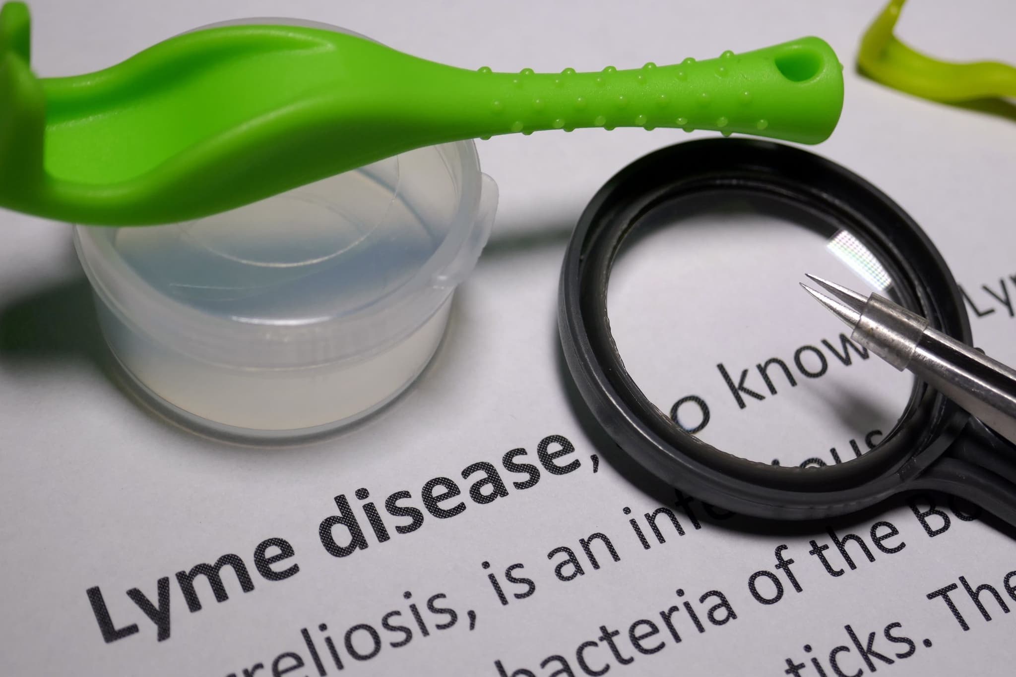 Why Are Lyme Disease Cases Surging in 2026?