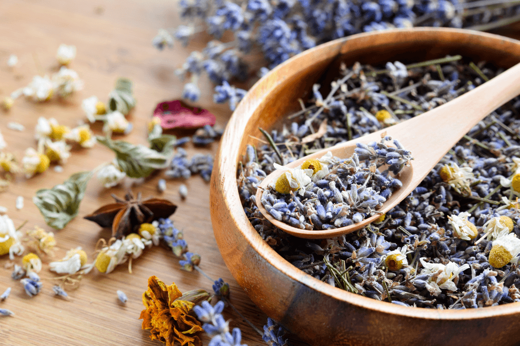 Herbs for Anger and Dysregulation: The Natural Way to Calm Big Emotions