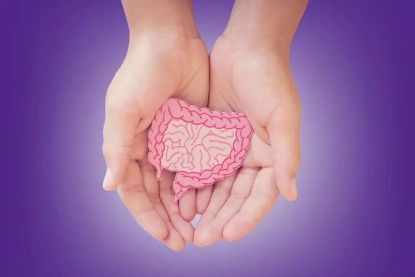 The Connection Between Gut Health, Behavior, and Picky Eating | Nervous System Regulation | E295