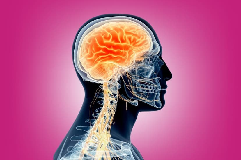 What the Vagus Nerve Has to Do With Your Child’s Behavior | Nervous System Regulation | E320