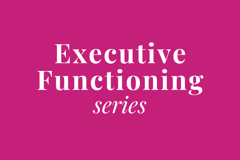What is Executive Functioning | Emotional Dysregulation in Children | E23