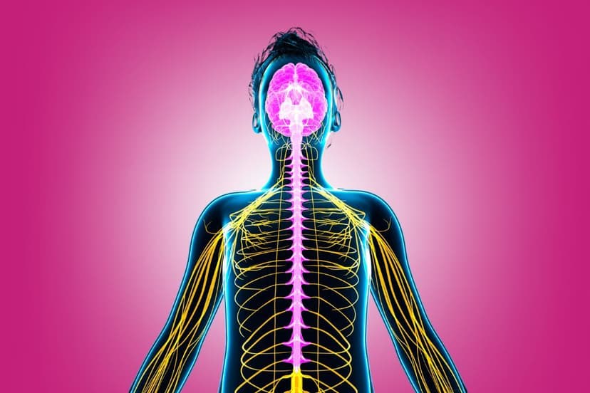 Silent Sabatoge: Is Your Child's Nervous System Dysregulation Keeping Them Stuck? | E254