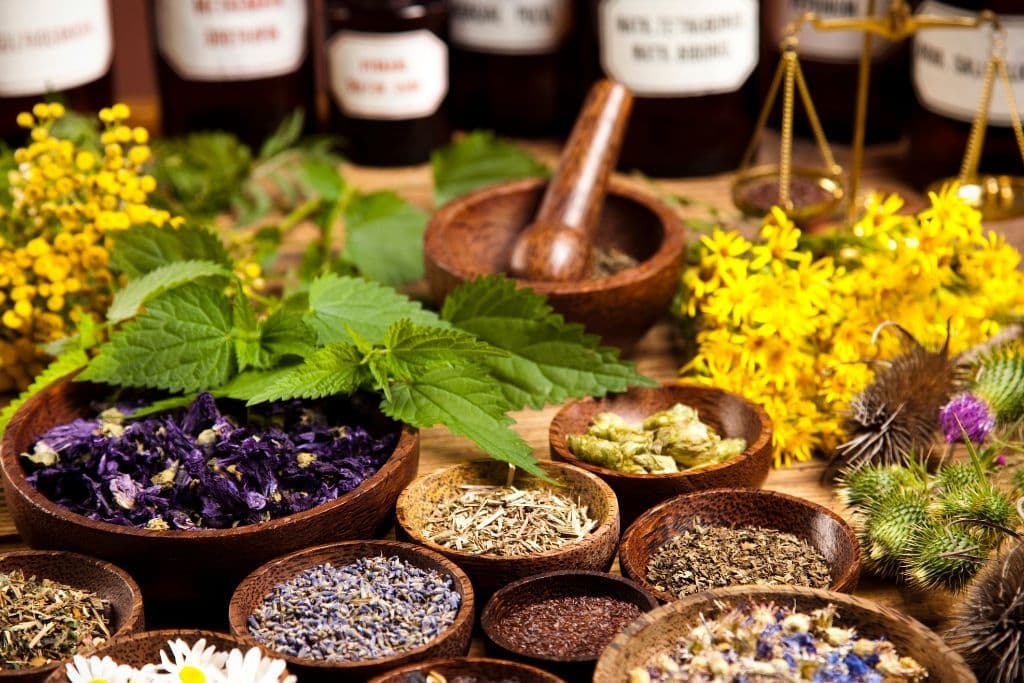 Adaptogenic Herbs for Stress: Helping Your Child (and You) Reset Naturally
