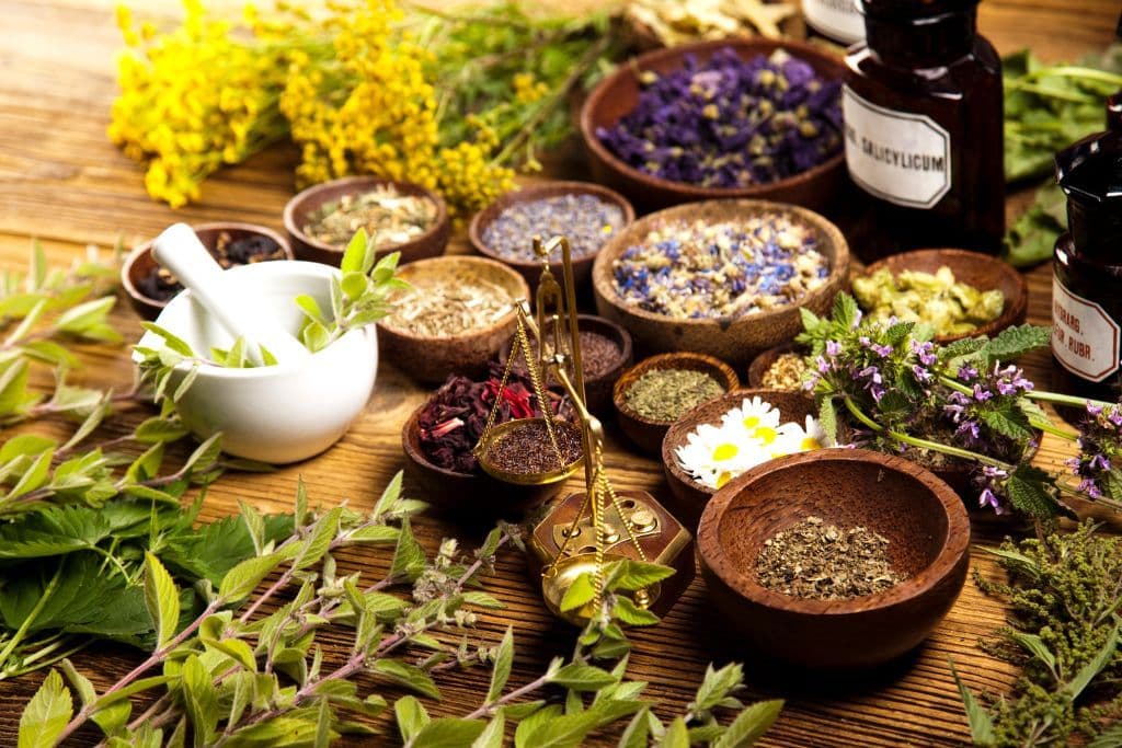8 Herbs for Wellness: A Natural Ally for Parents of Dysregulated Kids