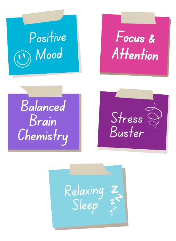 Five benefit cards: Positive Mood, Focus and Attention, Balanced Brain Chemistry, Stress Buster, Relaxing Sleep