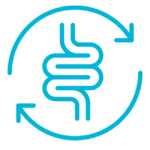 Intestinal system with circular arrows