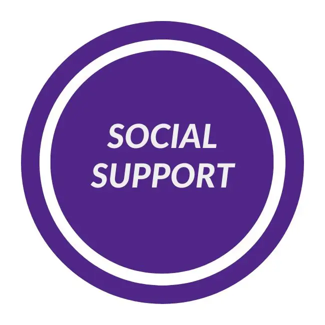 Purple circle icon labeled Social Support